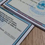 registro de arma de fogo capa