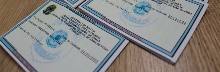 registro de arma de fogo capa